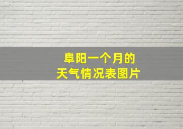 阜阳一个月的天气情况表图片