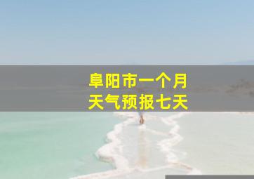 阜阳市一个月天气预报七天