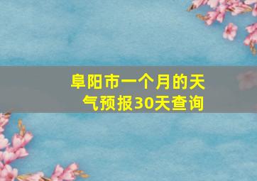 阜阳市一个月的天气预报30天查询