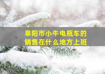 阜阳市小牛电瓶车的销售在什么地方上班