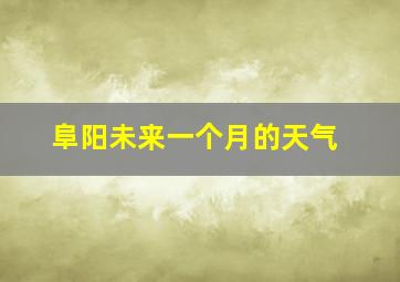 阜阳未来一个月的天气