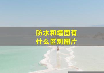 防水和墙固有什么区别图片