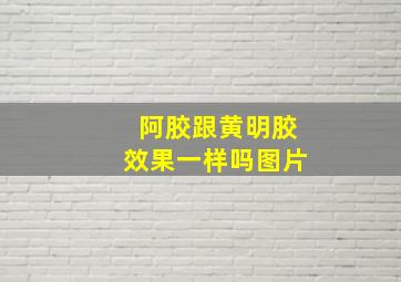 阿胶跟黄明胶效果一样吗图片