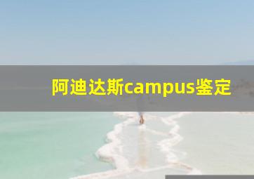 阿迪达斯campus鉴定