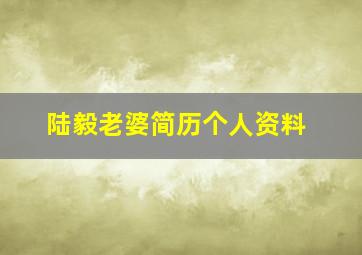 陆毅老婆简历个人资料