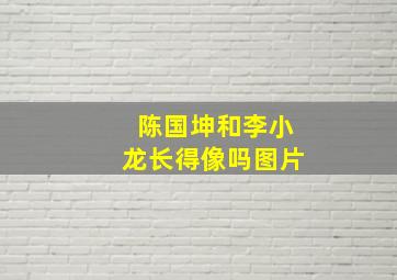 陈国坤和李小龙长得像吗图片