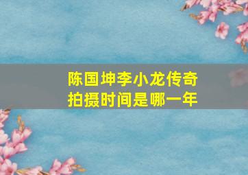 陈国坤李小龙传奇拍摄时间是哪一年