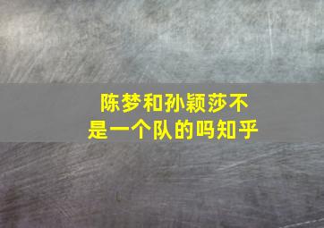 陈梦和孙颖莎不是一个队的吗知乎