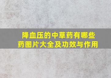 降血压的中草药有哪些药图片大全及功效与作用