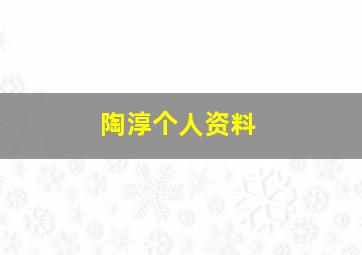 陶淳个人资料