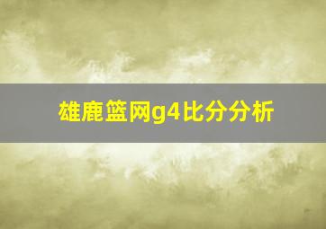 雄鹿篮网g4比分分析