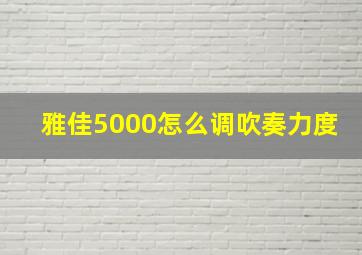 雅佳5000怎么调吹奏力度