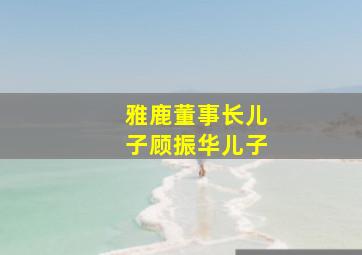 雅鹿董事长儿子顾振华儿子