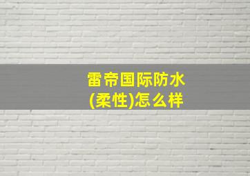 雷帝国际防水(柔性)怎么样