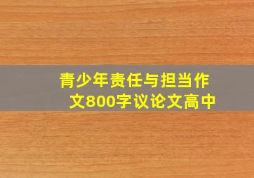 青少年责任与担当作文800字议论文高中