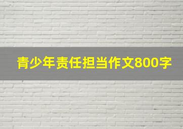 青少年责任担当作文800字