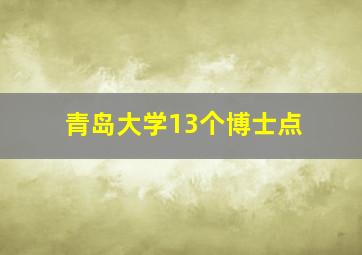 青岛大学13个博士点