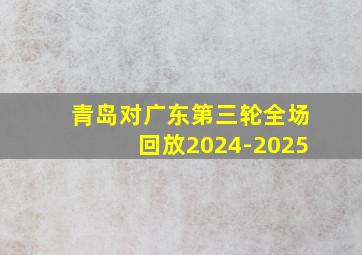 青岛对广东第三轮全场回放2024-2025