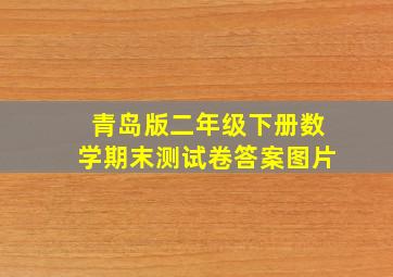 青岛版二年级下册数学期末测试卷答案图片