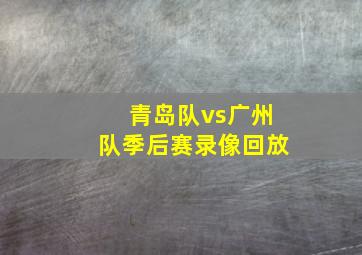 青岛队vs广州队季后赛录像回放