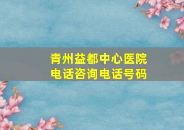 青州益都中心医院电话咨询电话号码