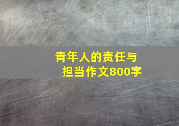 青年人的责任与担当作文800字