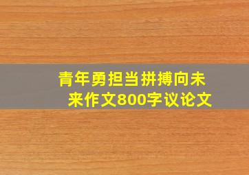 青年勇担当拼搏向未来作文800字议论文