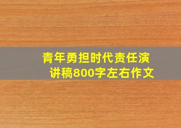 青年勇担时代责任演讲稿800字左右作文