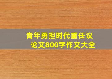 青年勇担时代重任议论文800字作文大全