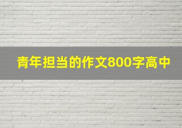 青年担当的作文800字高中