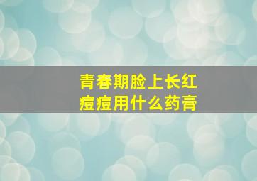 青春期脸上长红痘痘用什么药膏