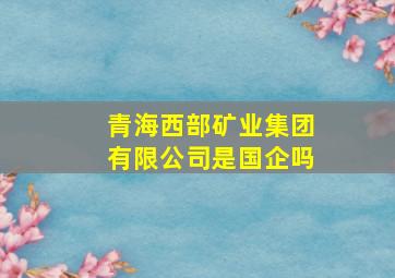 青海西部矿业集团有限公司是国企吗