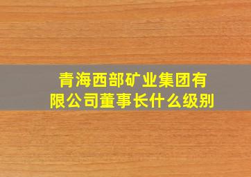 青海西部矿业集团有限公司董事长什么级别