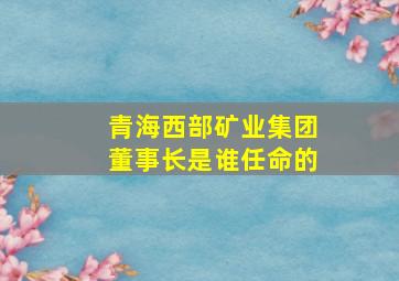 青海西部矿业集团董事长是谁任命的