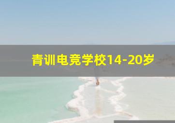 青训电竞学校14-20岁