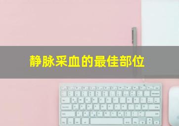 静脉采血的最佳部位