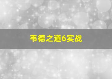 韦德之道6实战