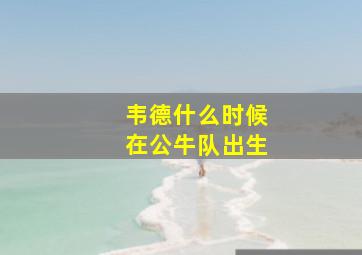 韦德什么时候在公牛队出生