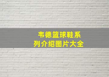 韦德篮球鞋系列介绍图片大全