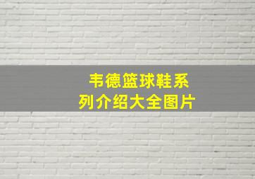 韦德篮球鞋系列介绍大全图片