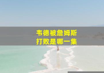 韦德被詹姆斯打败是哪一集