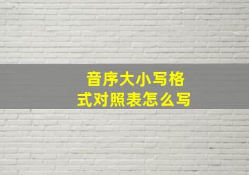 音序大小写格式对照表怎么写