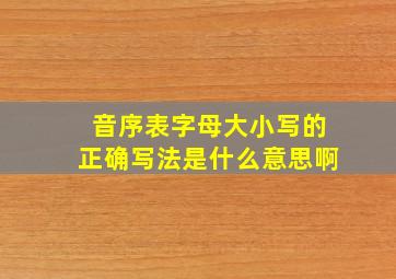 音序表字母大小写的正确写法是什么意思啊