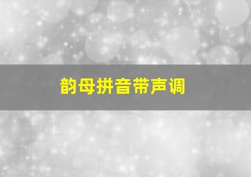 韵母拼音带声调