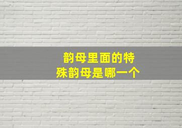 韵母里面的特殊韵母是哪一个