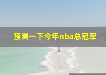 预测一下今年nba总冠军