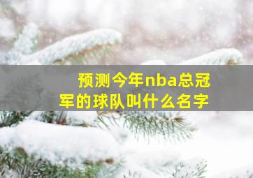 预测今年nba总冠军的球队叫什么名字