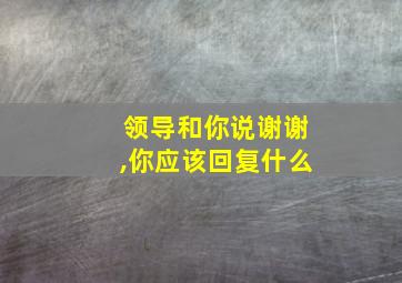 领导和你说谢谢,你应该回复什么