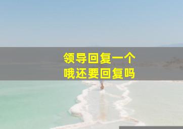 领导回复一个哦还要回复吗