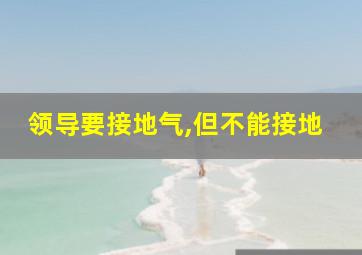 领导要接地气,但不能接地